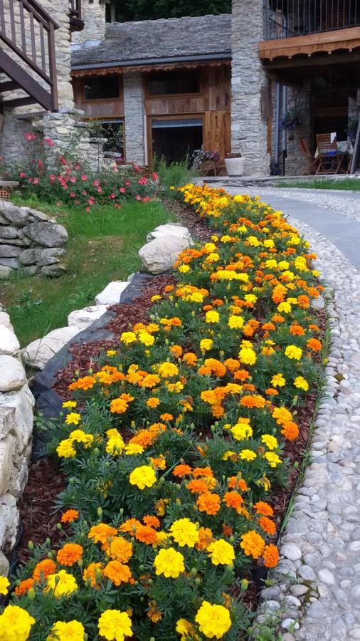 Il Sogno Della Vita Agriresort - Country Rooms & Suites Peveragno Exterior photo
